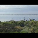 Morgenstimmung an der Ria de Aveiro